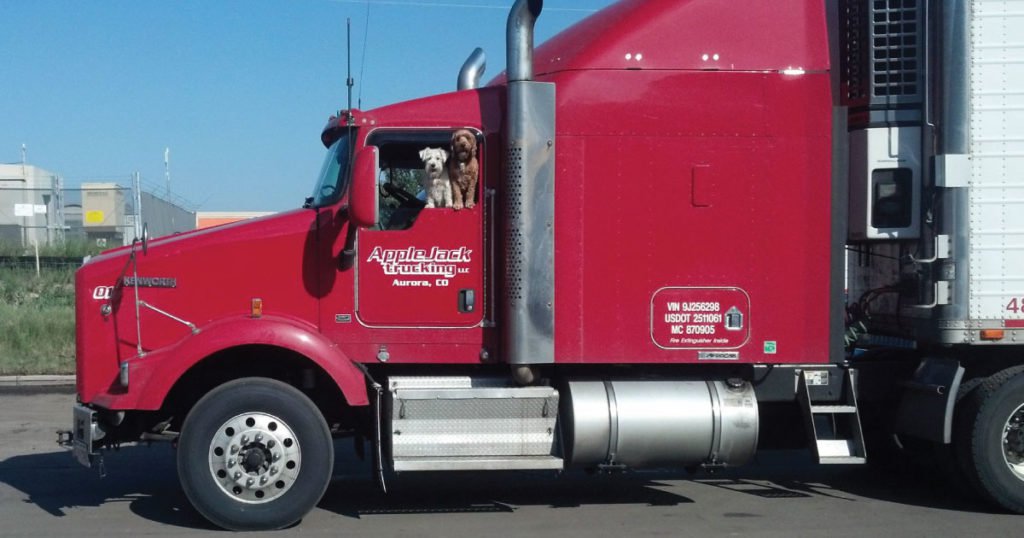 pets on the road