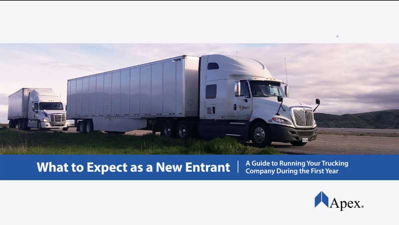 What to Expect as a New Entrant Video Series | Apex Capital