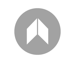 Check credit with Apex